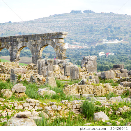 volubilis in morocco africa the old ro volubilis in morocco africa the old ro 20426941