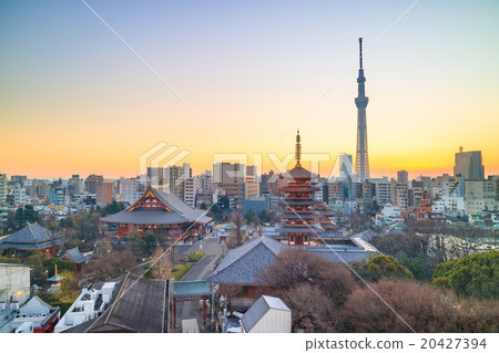 View of Tokyo skyline at twilight 20427394