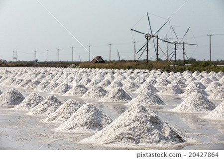 Thailand's salt field Thailand's salt field 20427864
