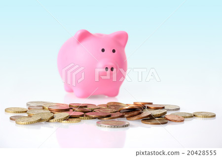 Euro Coins and Piggy bank 20428555