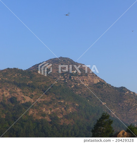 Arunachala taking the sunrise 20429328