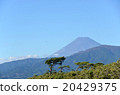 Mt. Fuji in the summer 20429375
