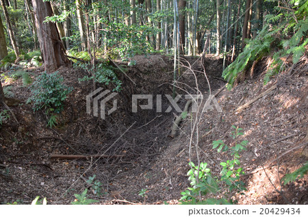 Maruko Castle Crescent Moori 20429434