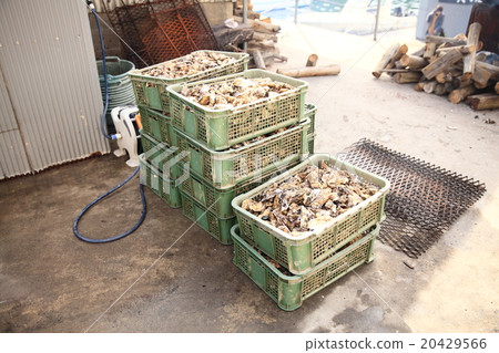 牡蠣小屋 牡蠣小屋 20429566
