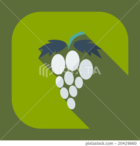 Flat modern design with shadow icons grapes Flat modern design with shadow icons grapes 20429660