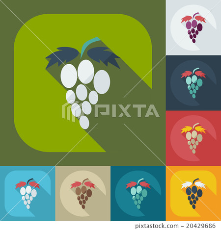 Flat modern design with shadow icons grapes Flat modern design with shadow icons grapes 20429686