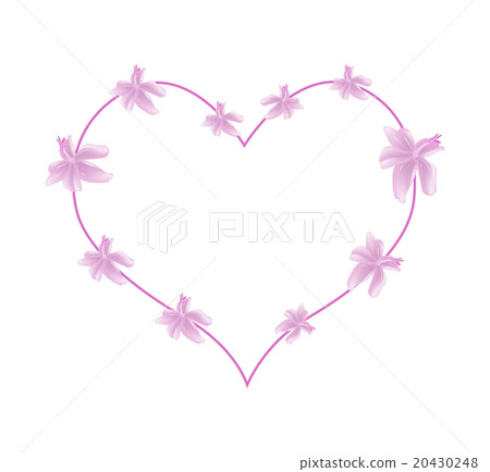 Pink Urena Lobata Flowers in A Heart Shape 20430248