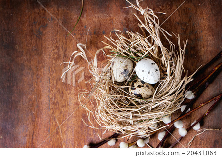 Easter decoration with quail eggs 20431063