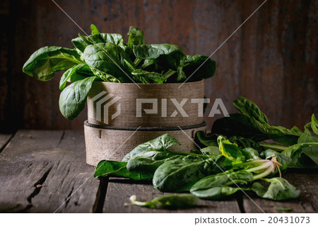 Bunch of fresh spinach 20431073