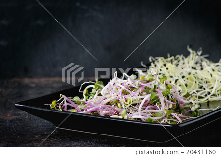 Mix of Fresh Sprouts Mix of Fresh Sprouts 20431160