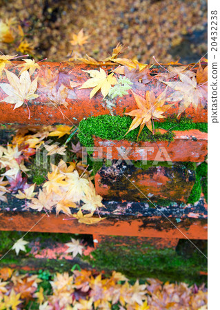 Daigo-ji Benten-do, moss and autumn leaves in a balustrade of a red-painted bridge Daigo-ji Benten-do, moss and autumn leaves in a balustrade of a red-painted bridge 20432238