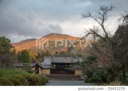 Takatsukayama寺廟在秋葉的著色 20432250