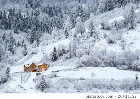 Snowy forest with house on mountain slope 20433152