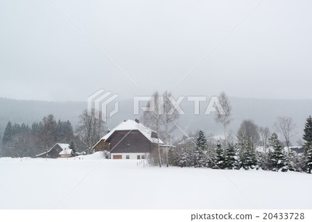 Typical black forest houses Typical black forest houses 20433728