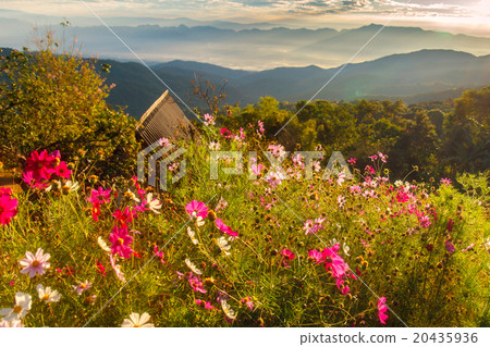 Beautiful mountain Doi Luang Chiang Dao 20435936