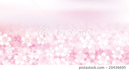櫻花春天花背景 櫻花春天花背景 20436695