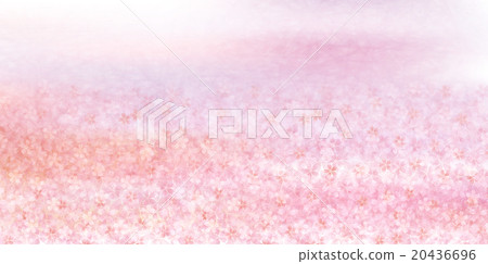 櫻花春天花背景 20436696