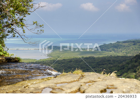 A jungle overlooking from the top of the waterfall of Iriomote Island Pinaisala 20436933