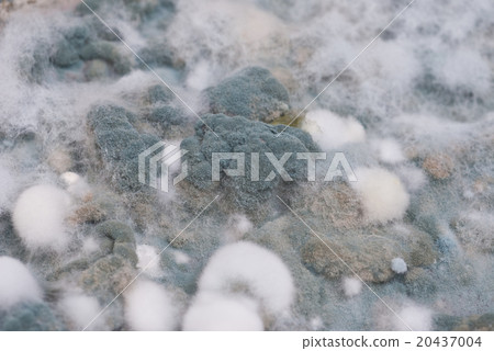 macro of mold relief background macro of mold relief background 20437004