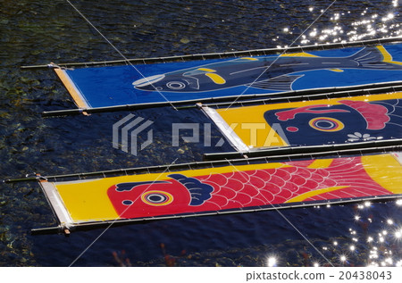 Gujo-dong dyeing carp streamer cold weather Gujo-dong dyeing carp streamer cold weather 20438043