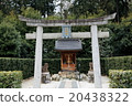 Shogunji Temple of Shogunji 20438322