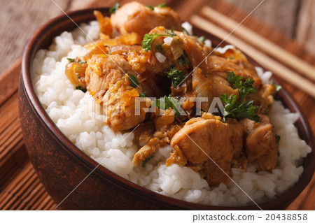 Japanese cuisine 20438858