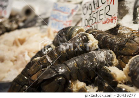 Big lobsters stall in Pike Place Market, Seattle 20439277