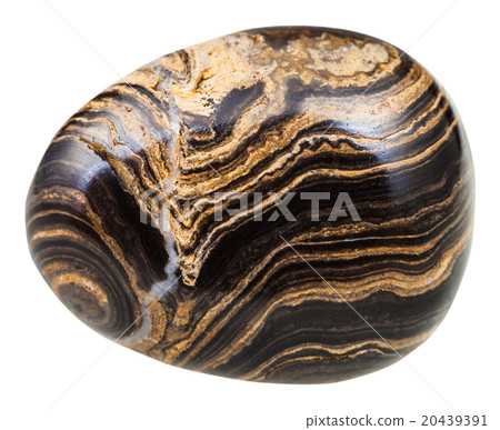 tumbled Stromatolite gemstone isolated on white 20439391