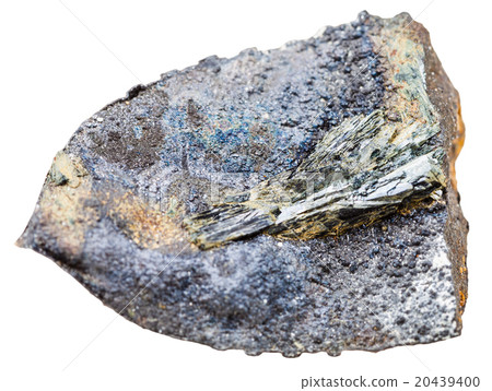 vivianite crystals in fossil stone shell isolated 20439400