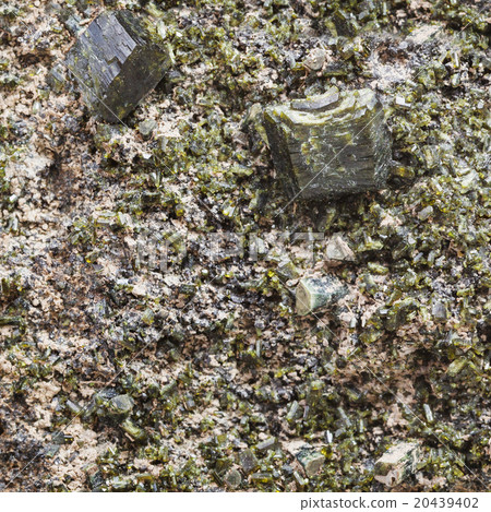 green epidote crystals on rock close up green epidote crystals on rock close up 20439402