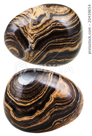 two tumbled Stromatolite gemstones isolated 20439654
