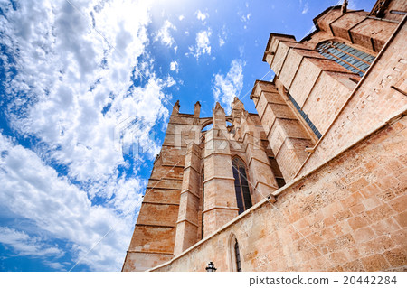 La seu Cathedral in Palma de Mallorca La seu Cathedral in Palma de Mallorca 20442284