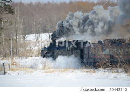 SL冬季濕地 20442340