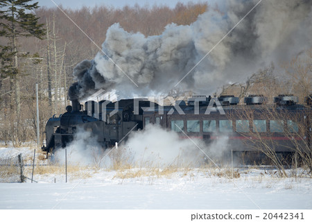 SL冬季濕地 SL冬季濕地 20442341