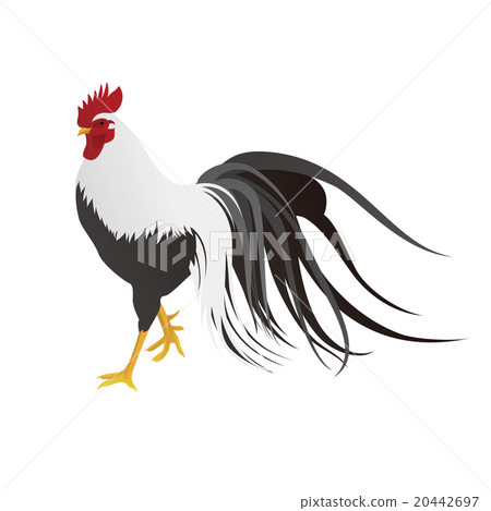 雞的插圖插圖雄雞新年的材料-插圖素材[20442697] - PIXTA圖庫