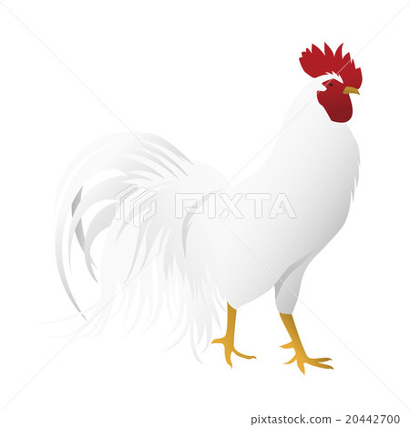 Chicken's illustration illustration Rooster New Year's material Chicken's illustration illustration Rooster New Year's material 20442700