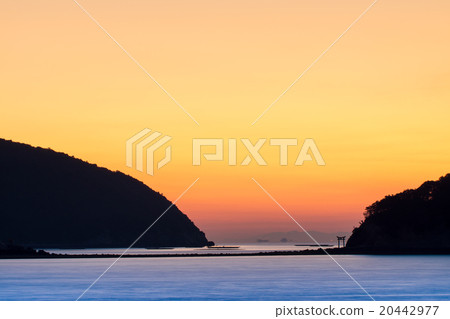 長島愛情公園的晨光 20442977