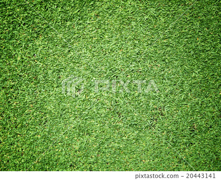 Golf Courses green lawn Golf Courses green lawn 20443141