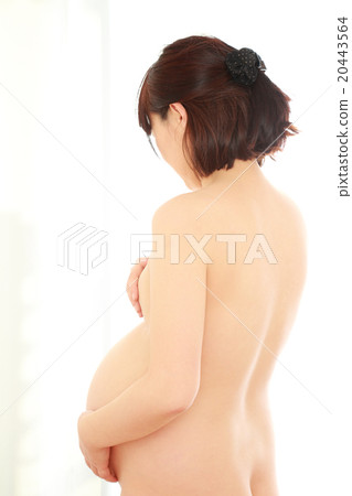 胃肚子 胃肚子 20443564