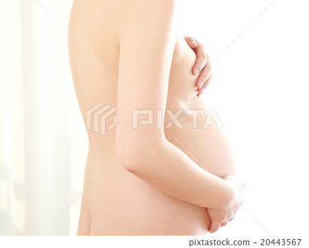 Stomach stomach 20443567