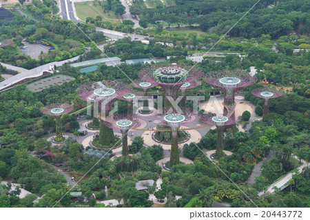 Gardens by the Bay Singapore 20443772