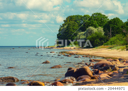Baltic sea coast 20444971