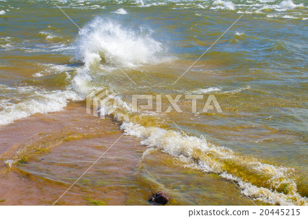 Merger of two seas. Cape Kolka, Latvia. Merger of two seas. Cape Kolka, Latvia. 20445215