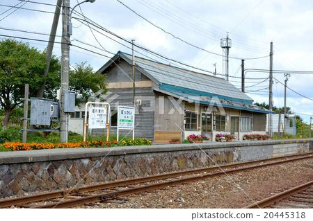 大豆線 大豆線 20445318