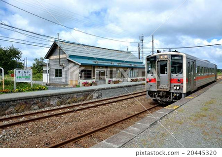 大豆線 大豆線 20445320