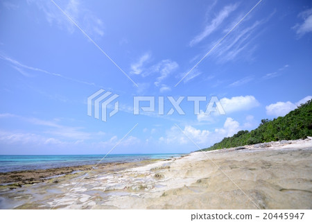 宮古島 宮古島 20445947