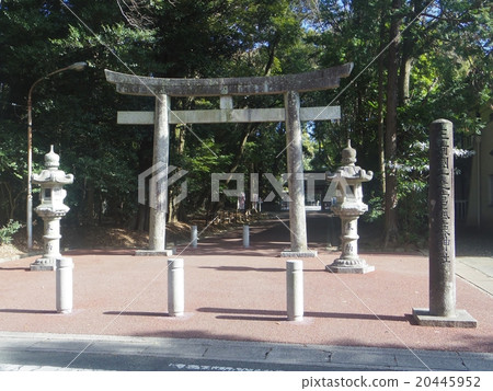 新坂神社 新坂神社 20445952