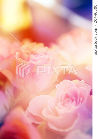 floral background 20446300