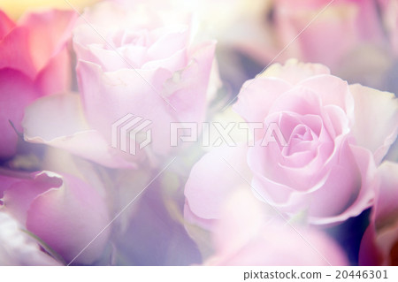 floral background 20446301