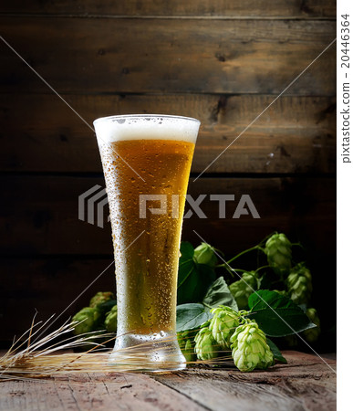 glass of beer and hop on a wooden background 20446364